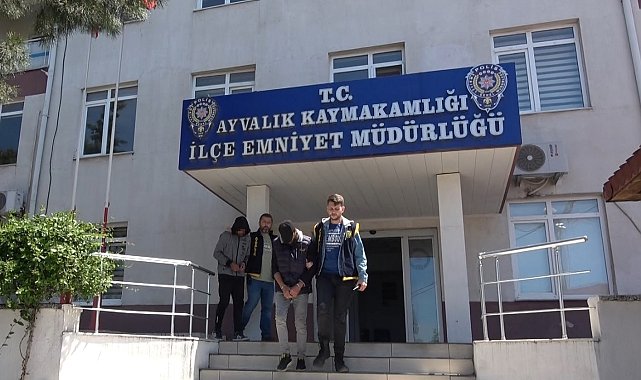 Çaldıkları 32 oğlağı bir otomobile sığdıran hırsızlar Ayvalık polisinden kaçamadı