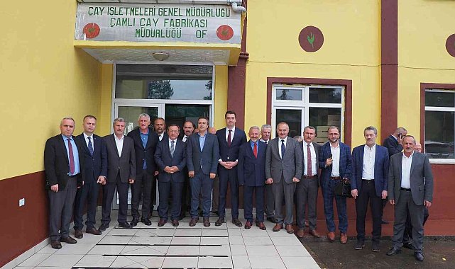 ÇAYKUR'dan üreticiye 'taze taze toplayın' çağrısı