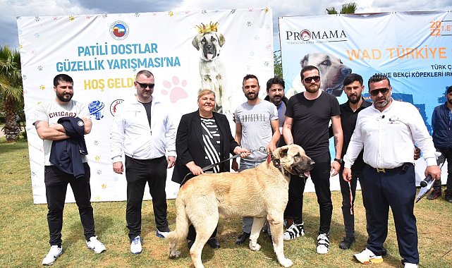 Ceyhan'da "Patili Dostlar Güzellik Yarışması"