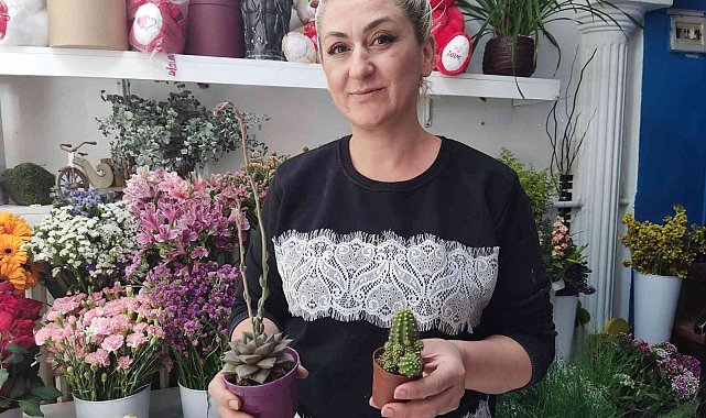 Çiçekseverlerin yaz tercihi: 'Sukulent'