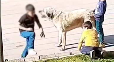 ''Çocukları zehirlesek sıkıntı olur mu ?''