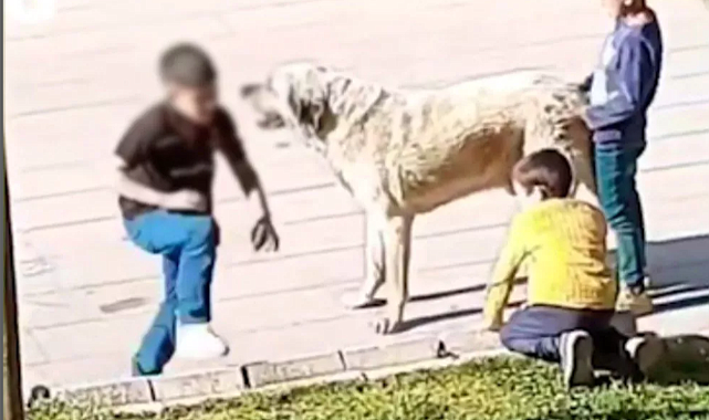 &#039;&#039;Çocukları zehirlesek sıkıntı olur mu ?&#039;&#039;