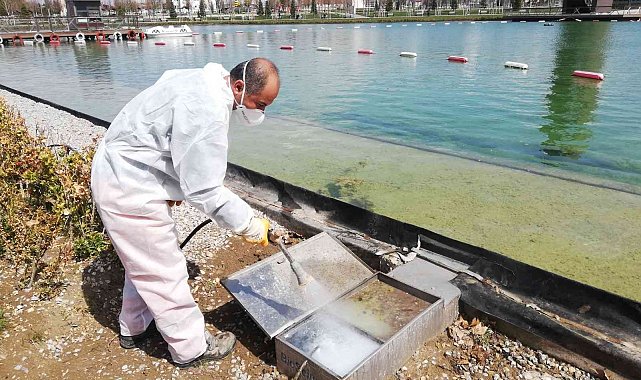 Çorum'da vektörel mücadele çalışmaları sürüyor