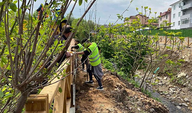 Damlar Vadisi Millet Bahçesi'nde hummalı çalışma sürüyor