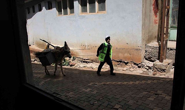 Dar sokaklardaki çöpler 'Kadrolu eşeklere' emanet