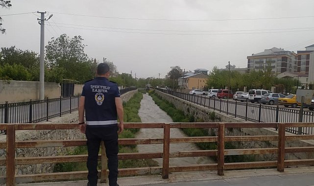 Derede kaçak avlanan inci kefali balığı yeniden suya bırakıldı