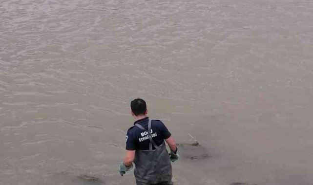 Derede mahsur kalan köpeği itfaiye ekipleri kurtardı