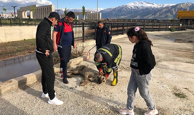 Dereye düşüp balçığa saplanan köpeği itfaiye kurtardı