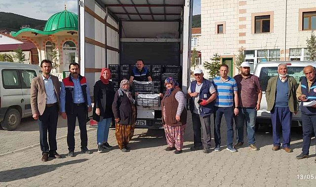 Dodurga beldesinde çilek fidesi dağıtımı yapıldı