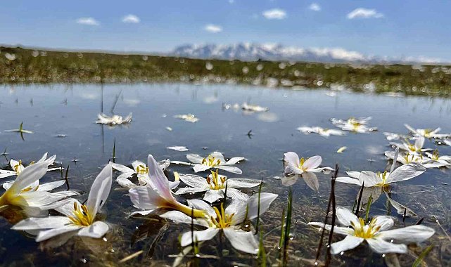 Doğu&#039;da hava soğuyacak