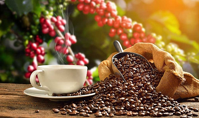 Düzenli kahve içenlerde ölüm riski daha düşük