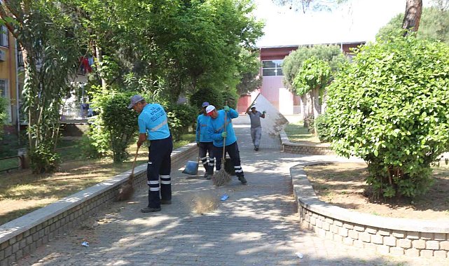 Efeler'de yabani ot temizliği gerçekleştirildi