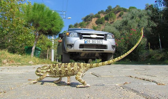 EKODOSD, biyolojik çeşitliliğe dikkat çekti