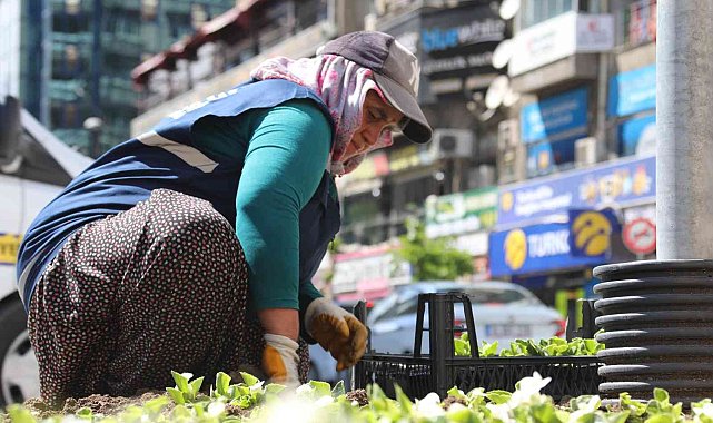 Elazığ, kadın eliyle güzelleşiyor