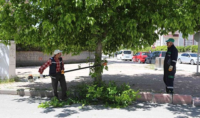 Elazığ, yeşil bir yaz mevsimine hazırlanıyor