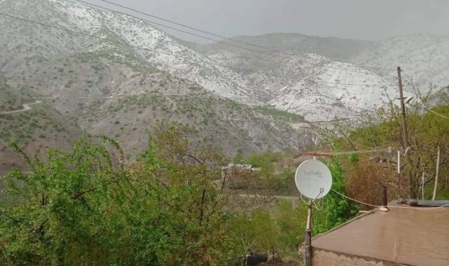 Elazığ'da kayısıyı dolu vurdu