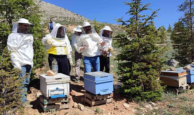 Elbistan'da arıcılık kursu sona erdi