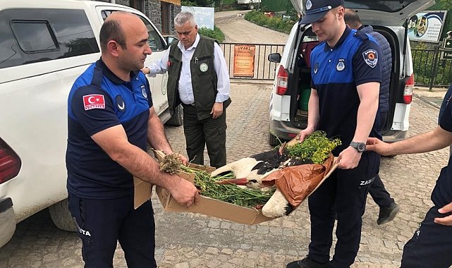Elektrik akımına kapılan leylek için ekipler seferber oldu