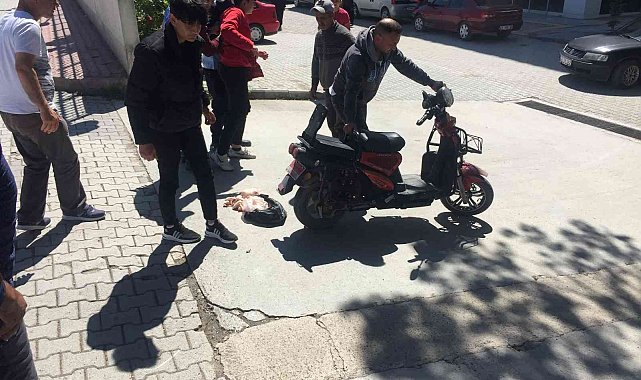 Elektrikli bisiklet hafif ticari araca çarptı: 1 yaralı