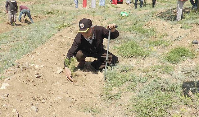 Emekli öğretmenden örnek davranış