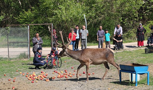 Engelli bireyler geyikleri besleyip 'Füme' ve Garip' ile eğlendi