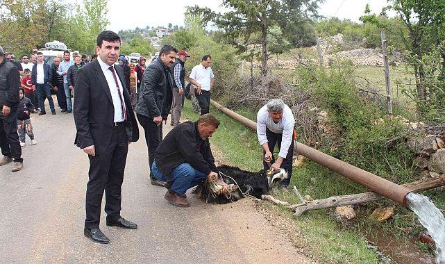 Erdemli'de sulama suyu sevinci