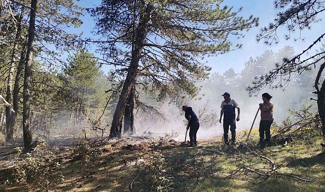 Erken müdahale orman yangınını önledi