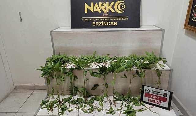 Erzincan'da 3 ayrı uyuşturucu operasyonunda 3 kişi tutuklandı