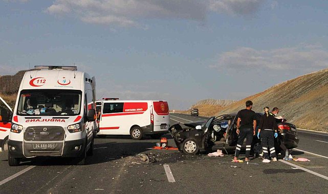 Erzincan&#039;da geçtiğimiz yıl 755 adet ölümlü yaralanmalı trafik kazası meydana geldi