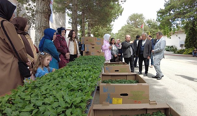 Erzincan&#039;da kadın çiftçilere fide desteği