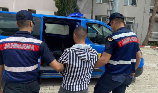 Evden hırsızlık şüphelisi tutuklandı