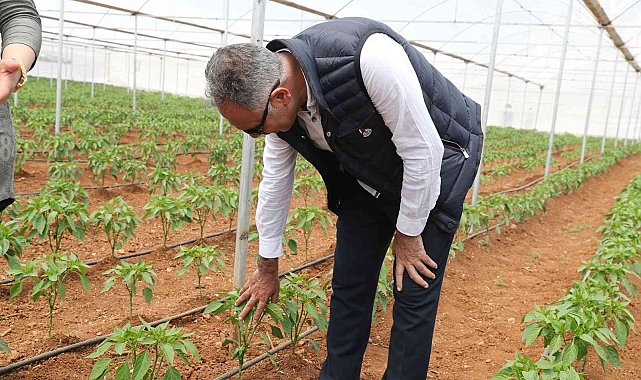 Eyyübiye seraları açılışa gün sayıyor