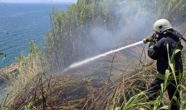 Falezlerde kargılık alanda yangın