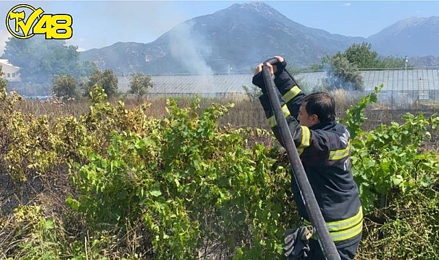 Fethiye&#039;de Otluk Alanda Yangın Başladı