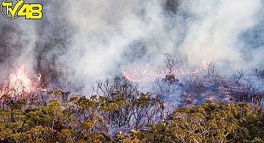 Fethiye'de Yıldırım Düştü Orman Yangını Çıktı