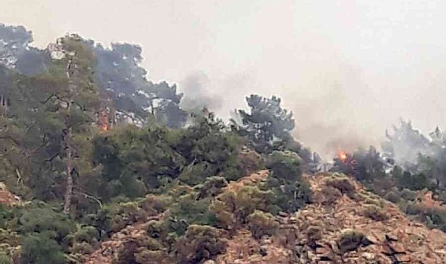 Fethiye&#039;de orman yangını
