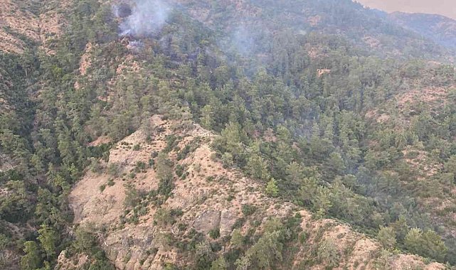 Fethiye'deki orman yangını kontrol altına alındı