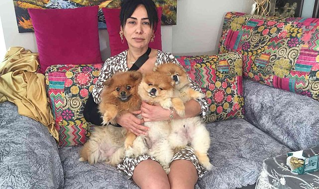 Fide Uyarlar: "Tutuklanmasaydı şimdi benim ölüm haberini yapıyor olacaktınız"