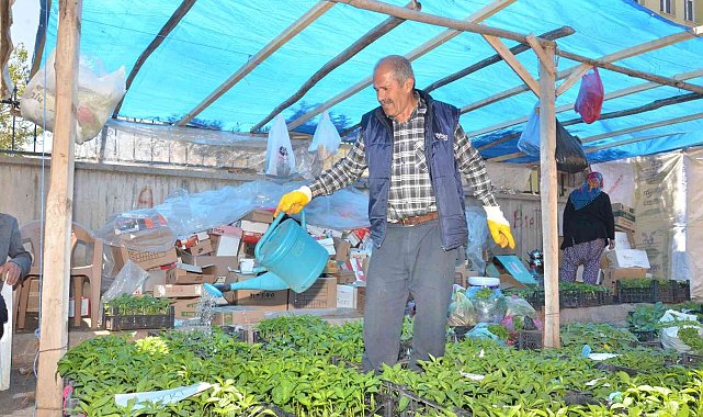 Fideler görücüye çıktı