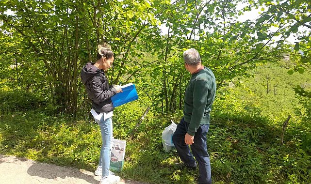 Fındık üreticileri bilgilendiriliyor