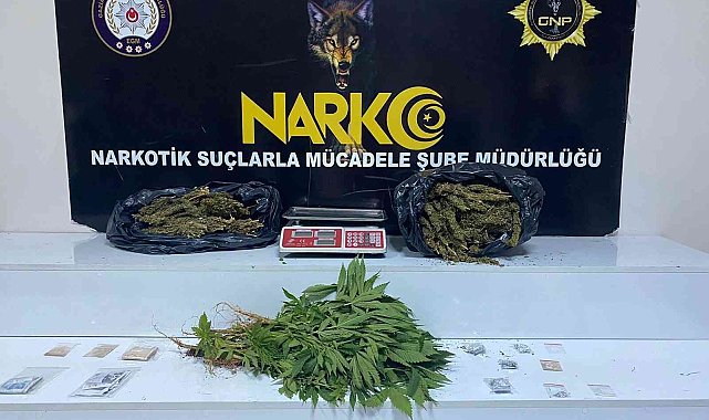 Gaziantep'te 3 kilo esrar ile 41 kök kenevir ele geçirildi