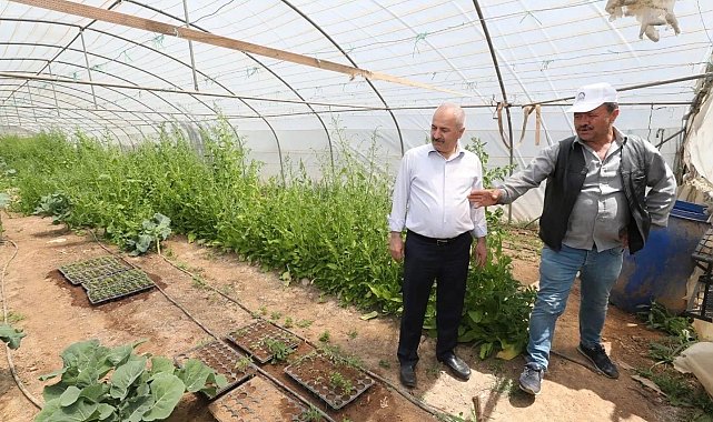 Gebze Belediyesi&#039;nden çiftçilere 200 bin fide desteği