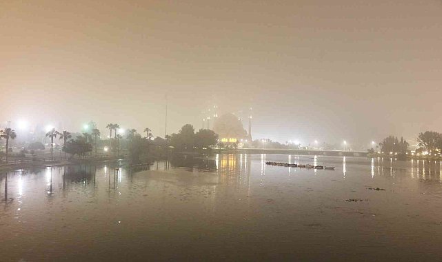 Gece yarısı Adana'da sis etkili oldu