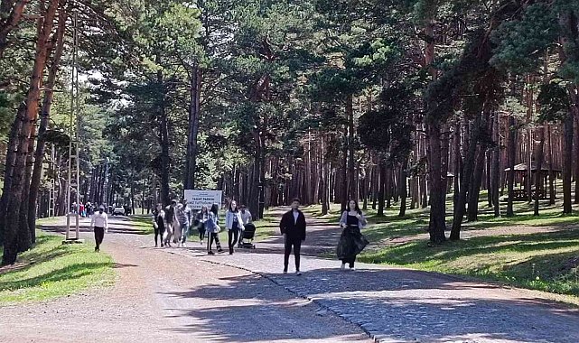 Gençler orman temizledi