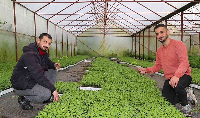 Gençlere büyük destek