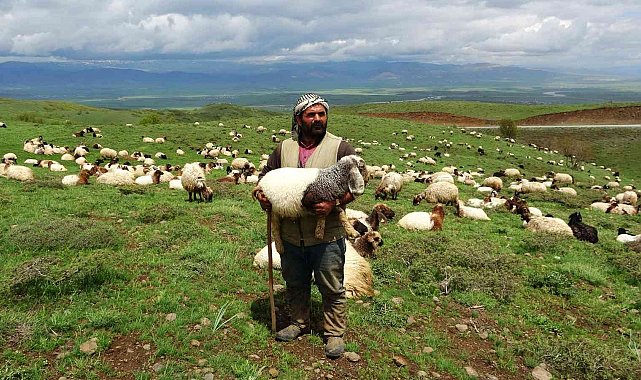 Göçerlerin zorlu yolculuğu başladı