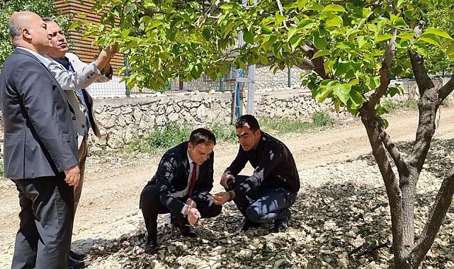 Gölbaşı ilçesinde tarım arazileri ve bahçelerde incelemelerde bulundu