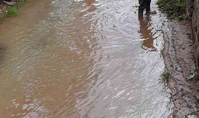 Güroymak'ta dere yatağı temizliği