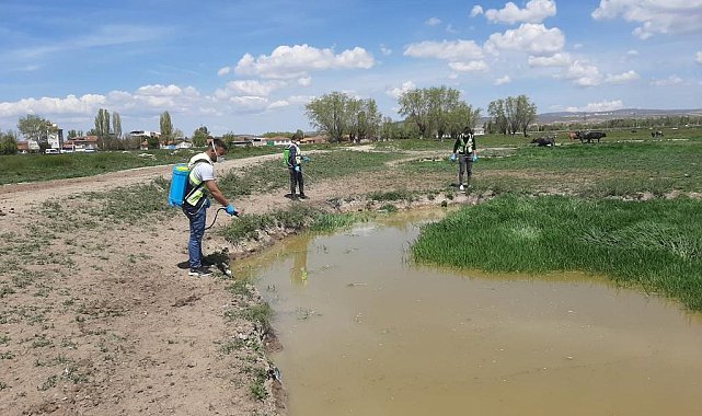 Haşerelere karşı başarılı mücadele
