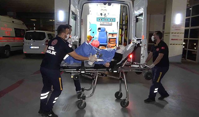 Havalar ısınınca ortaya çıktı: Gece uykudayken akrep soktu